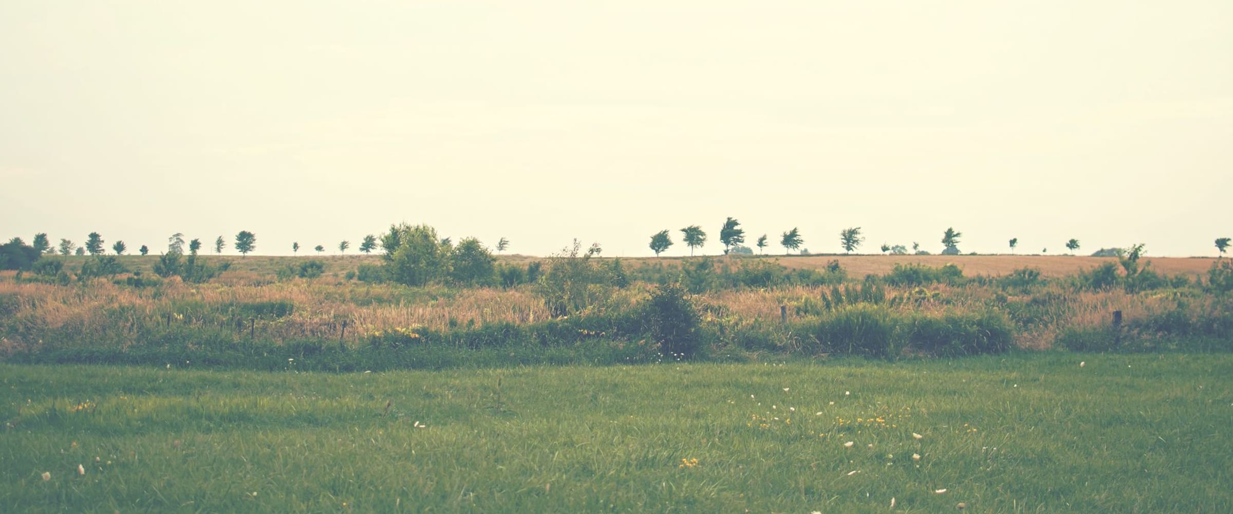 A calm, open landscape under soft warm daylight.